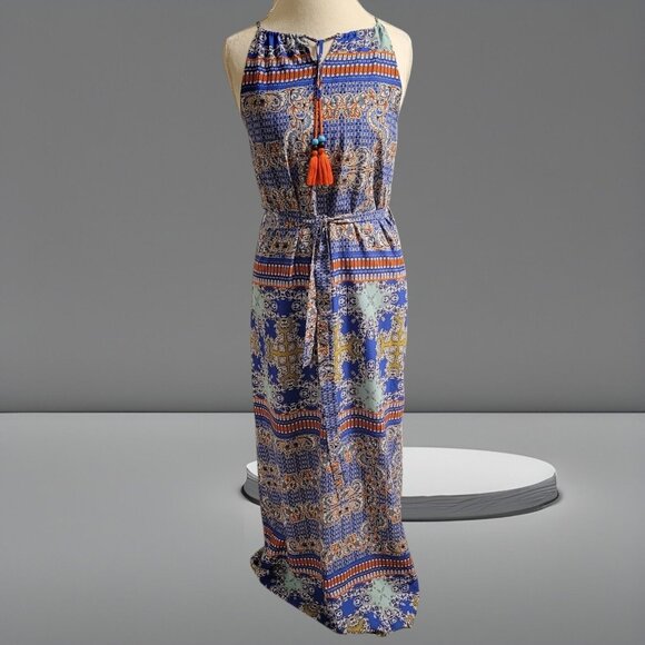 The Limited Floral Lined Maxi Dress Side Slit Polyester Spandex Size Small - Picture 2 of 5